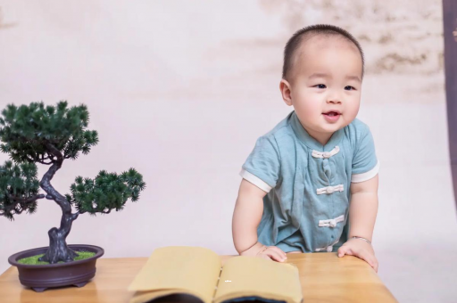 进贤可爱的企鹅宝宝